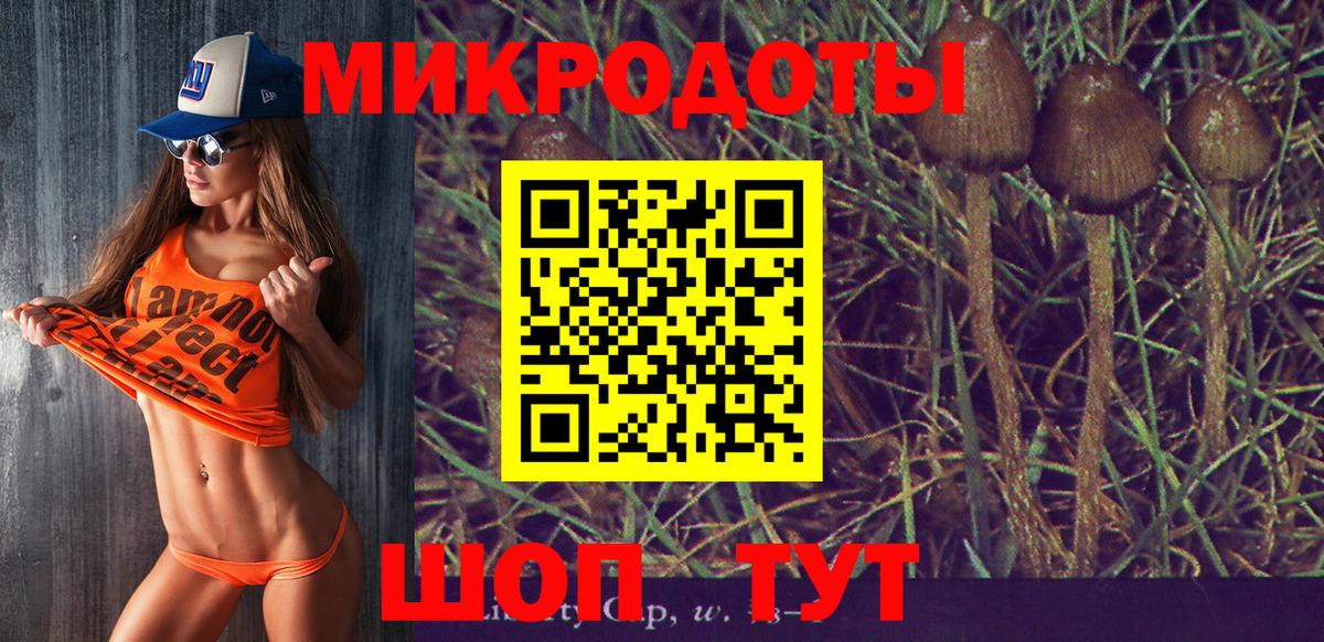 Щёлково  Псилоцибиновые грибы Magic Shrooms  Вход с VPN 